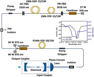 A Narrow-Linewidth Linearly Polarized 1018-nm Fiber Source for Pumping Diamond Raman Laser